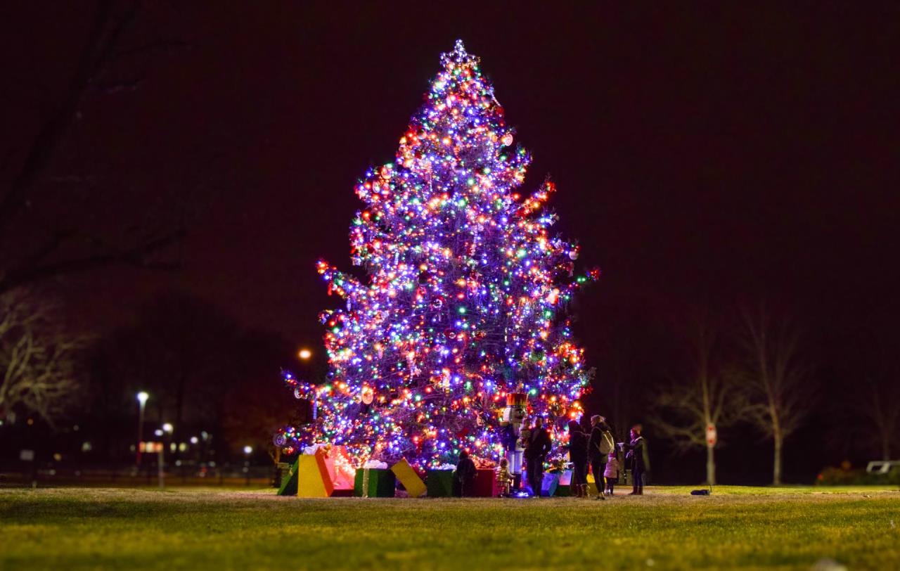 Brentwood Christmas Tree Lighting Ceremony